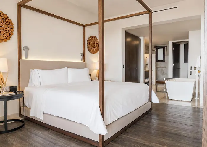 Live Aqua Private Residences Cabos Hotel 5*