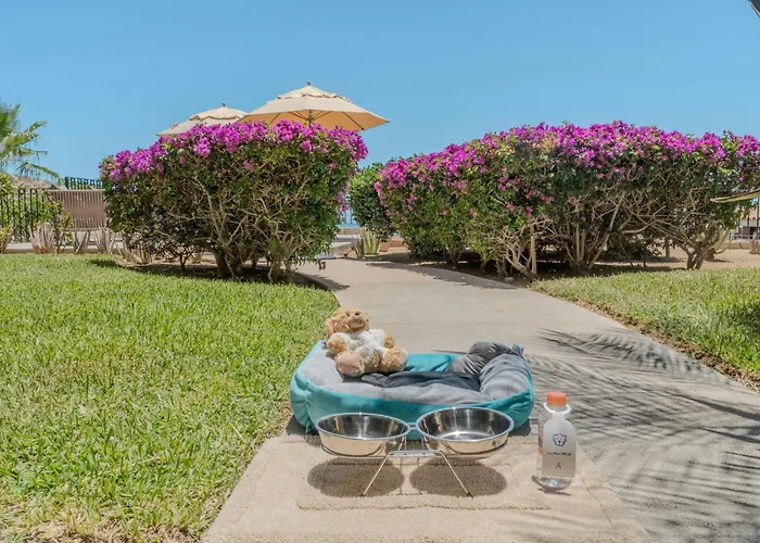 Live Aqua Private Residences Cabos